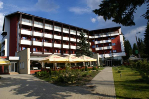 Гостиница Hotel Carpați  Предял